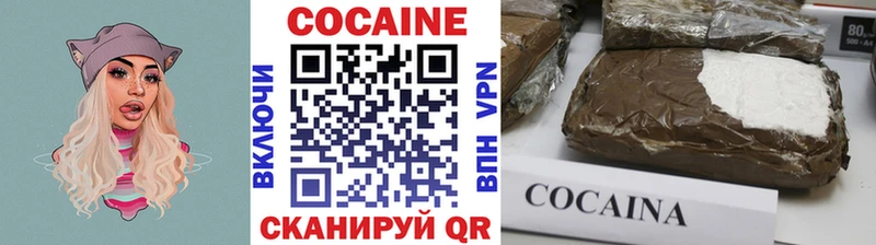 COCAIN FishScale  Купить закладки  Калачинск 