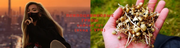 jwh Гусев